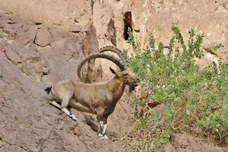 Wyprawa na k2