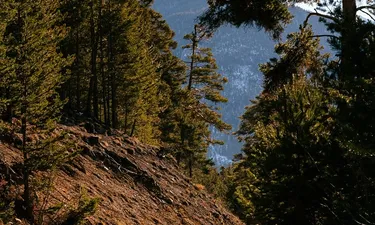 Trekking górski - wprowadzenie do turystyki górskiej