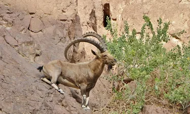 Wyprawa na k2